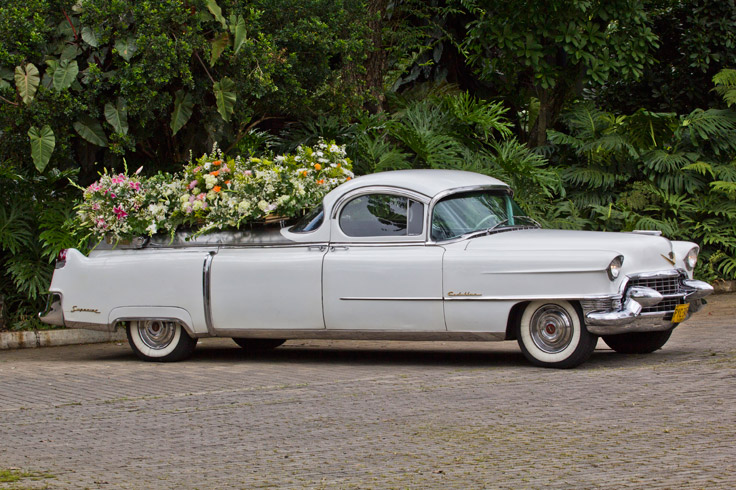 Cadillac Superior Floral 1955