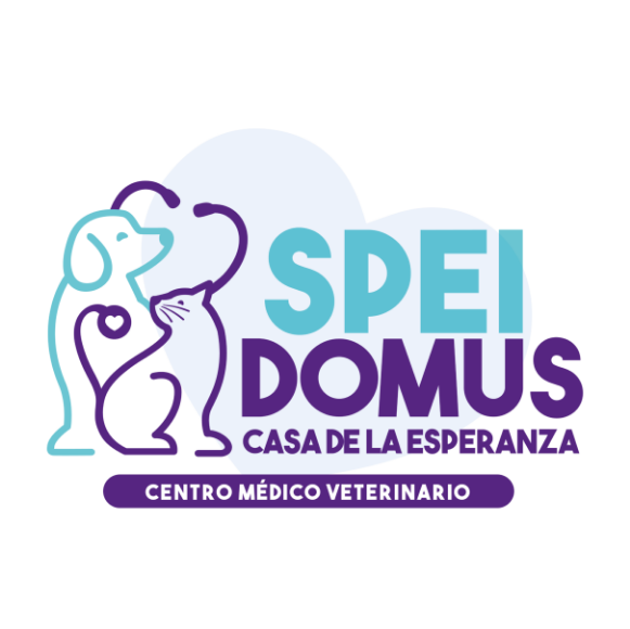 SPEI DOMUS - Casa de la esperanza